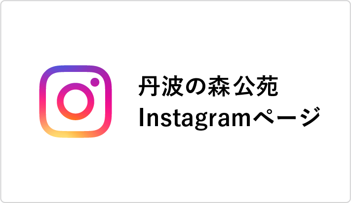 丹波の森公苑Instagramページ