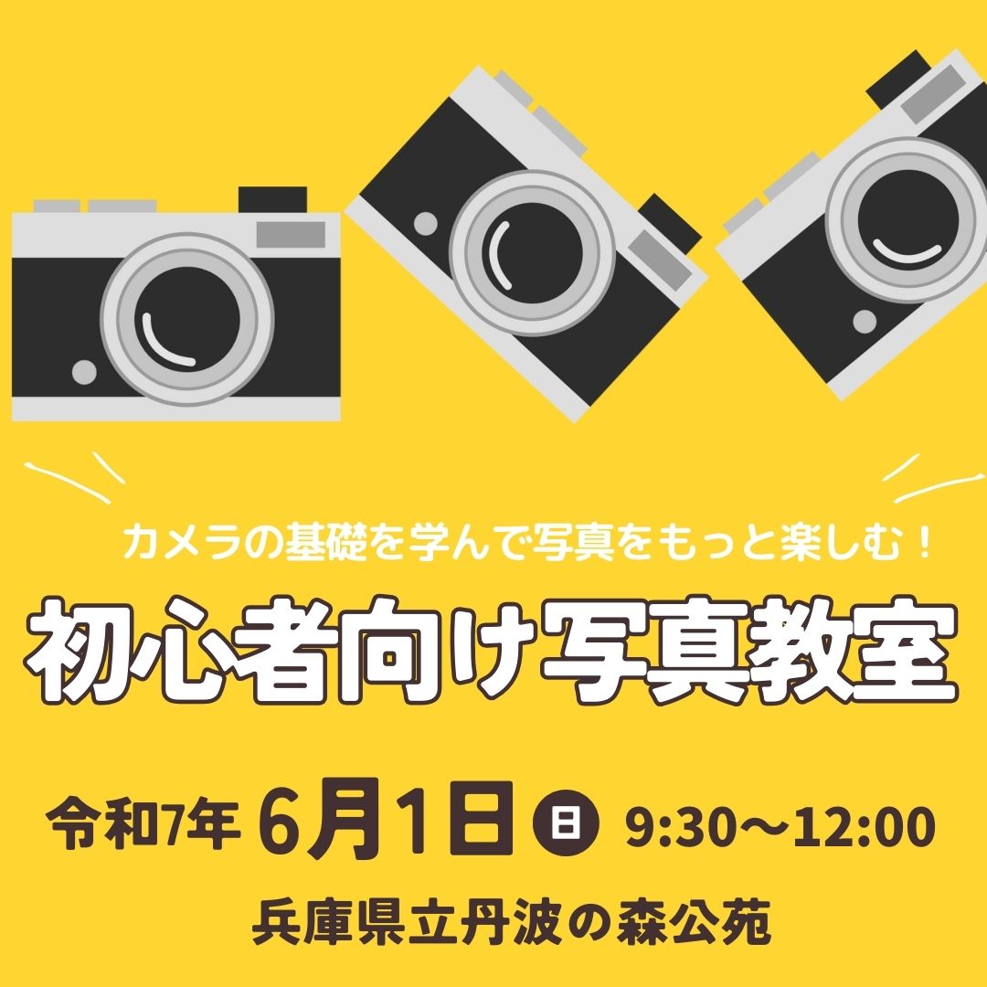 初心者向け写真教室